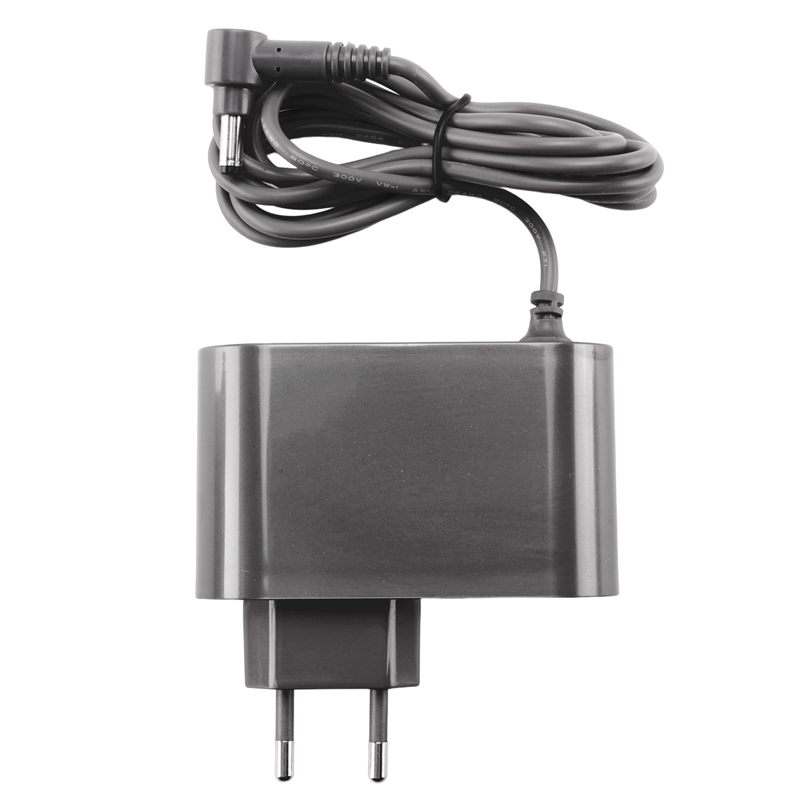 เครื่องชาร์จทดแทนสำหรับ V10 V1 - Chargers บทวิจารณ์และราคา